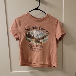 Forever 21 Peach Grand Tetons Crop Top